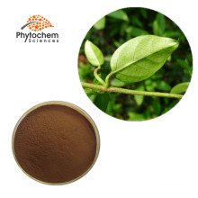 anti-diabetes pure gymnemic acid herbal leaf tea powder gymnema sylvestre extract